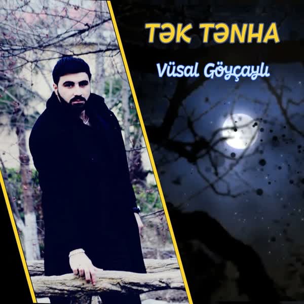 دانلود آهنگ Tek Tenha از Vusal Goycayli