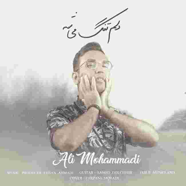 دانلود آهنگ دل تنگ میشه از علی محمدی