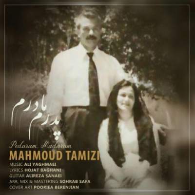 دانلود آهنگ پدرم مادرم از محمود تمیزی