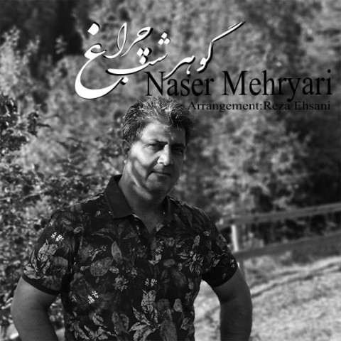 دانلود آهنگ گوهر شب چراغ از ناصر مهریاری