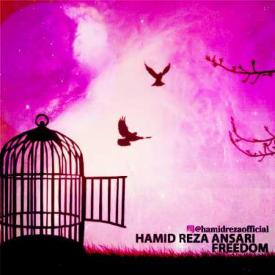 آهنگ جدید آزادی از حمیدرضا انصاری